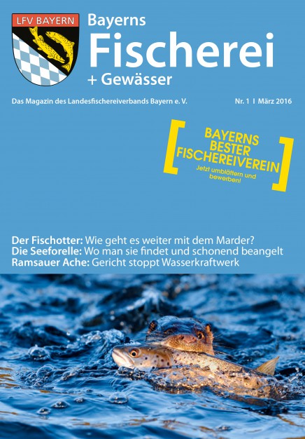 Bayerns Fischerei Und Gewässer Archive - Landesfischereiverband Bayern