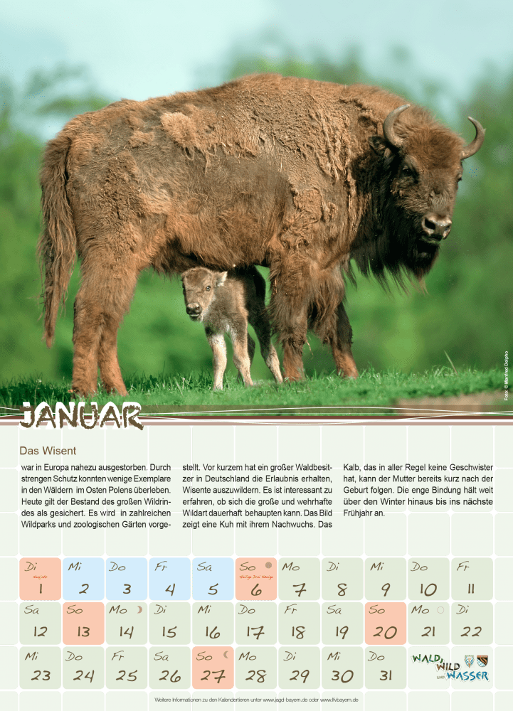 Januar Das Wisent Landesfischereiverband Bayern