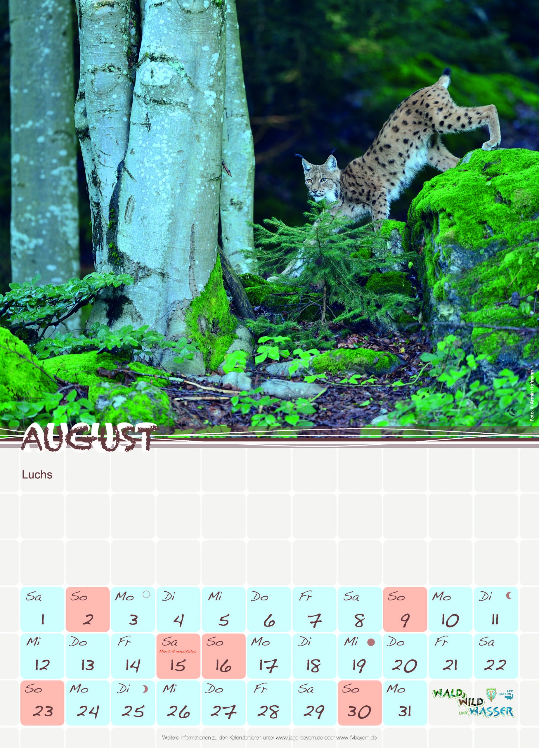 August Der Luchs Landesfischereiverband Bayern