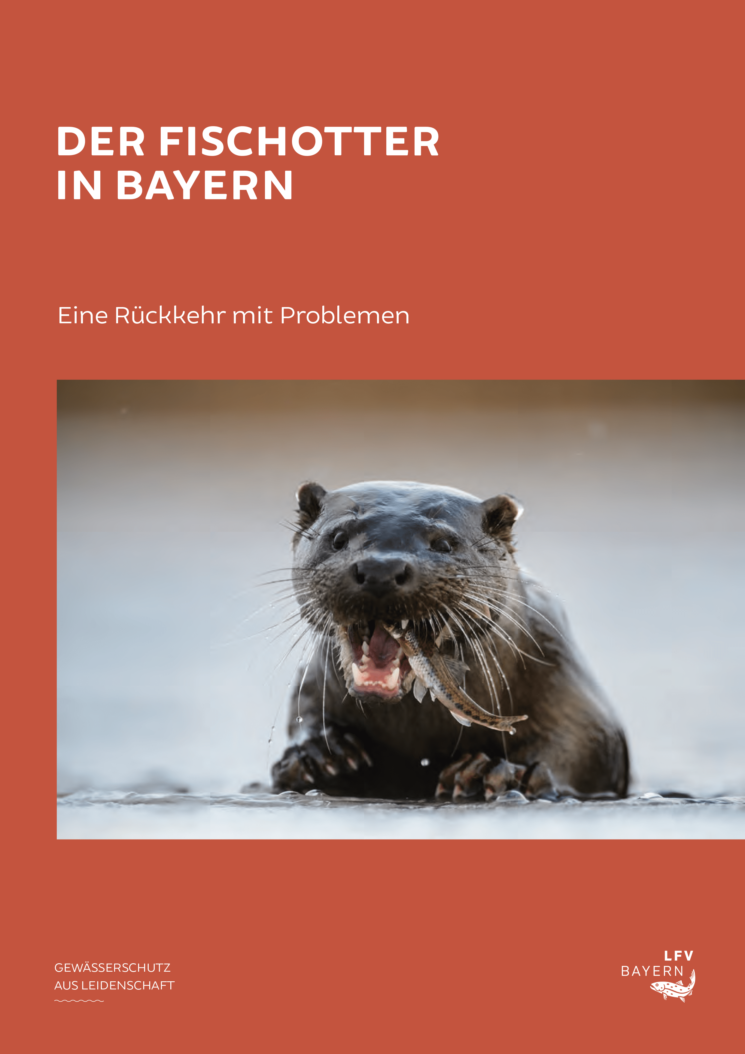 Fischotter In Bayern - Landesfischereiverband Bayern