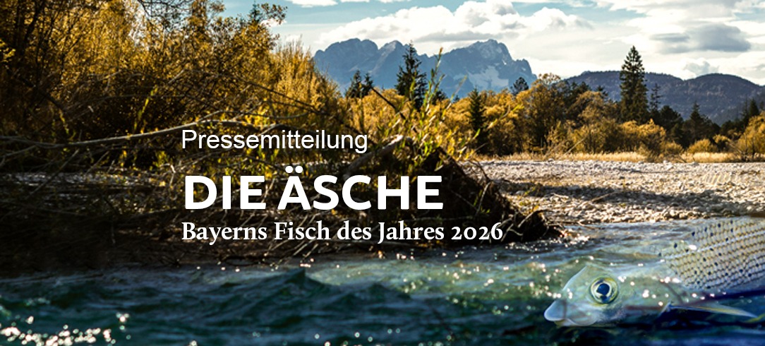 Metaslider_PM_FDJ2026